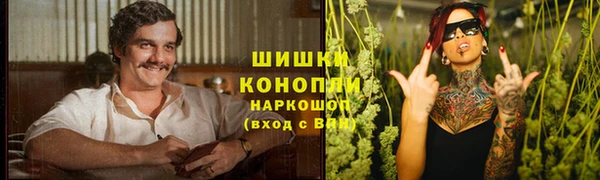прущие грибы Вяземский