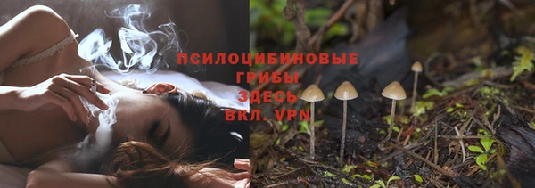 прущие грибы Вяземский