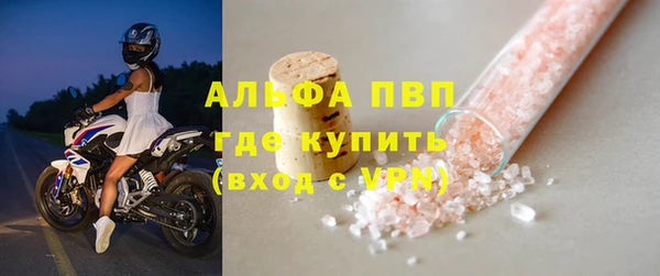 СК Вязьма