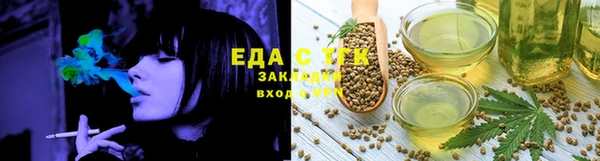 СК Вязьма
