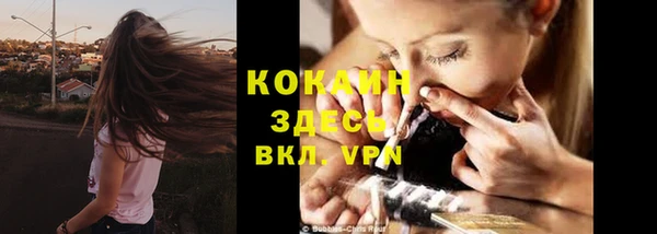 СК Вязьма