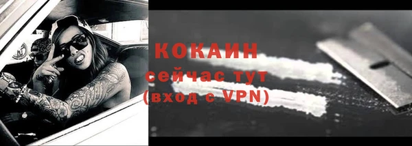 прущие грибы Вяземский