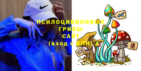 СК Вязьма