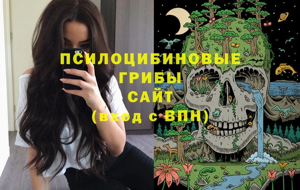 прущие грибы Вяземский
