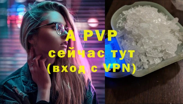 прущие грибы Вяземский