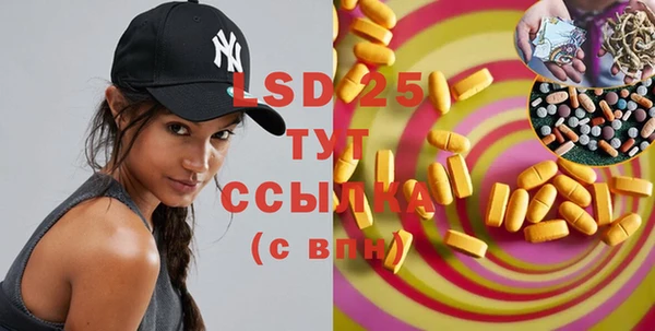 прущие грибы Вяземский