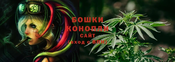 прущие грибы Вяземский