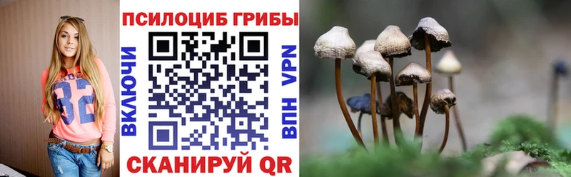 Псилоцибиновые грибы мухоморы  где продают   Юрга 
